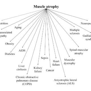 Clinical conditions associated with muscle atrophy | Download ...