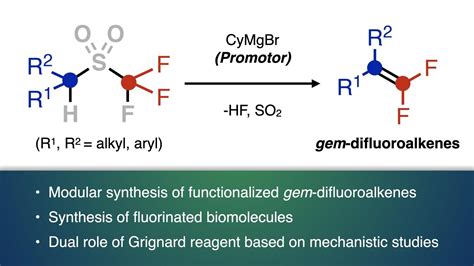 Establishment of a rapid synthesis method for useful organic fluorine compounds