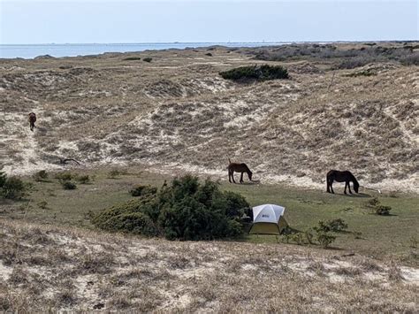 The ‘Other Kind’ Of Coastal Camping On Shackleford Banks