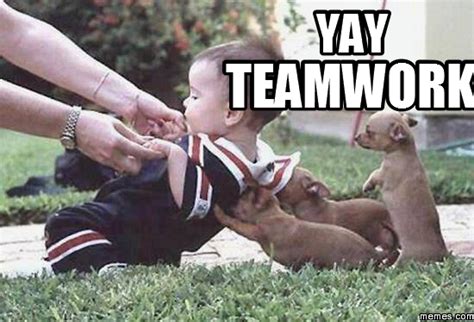 Teamwork Memes