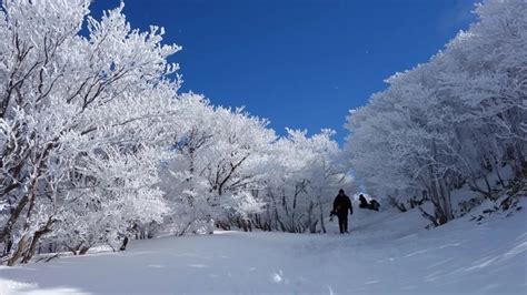 8 Must-Do Activities for a Snowy Holiday in Japan - Klook Travel Blog