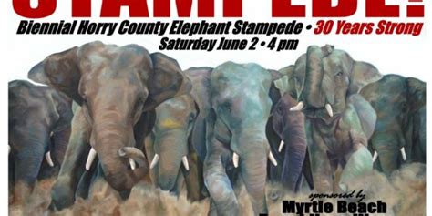 Elephant Stampede Planned For June 2nd - Myrtle Beach news