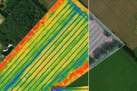 Drone Agriculture Mapping