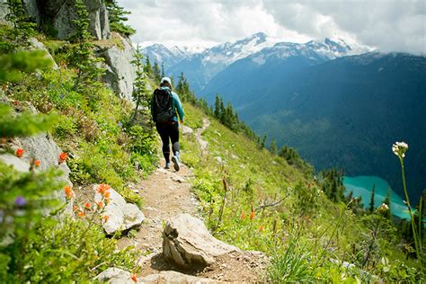 The Hills Are Alive: Alpine Wildflower Season in Whistler