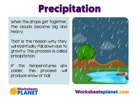 Water Cycle Precipitation