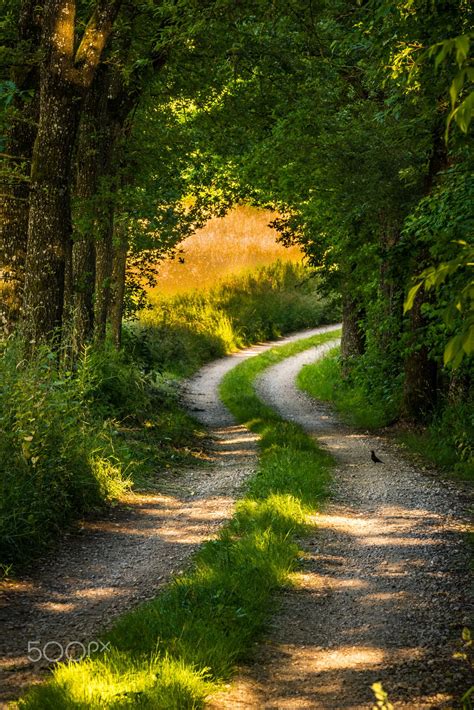 Countryside road | Nature photography, Country roads, Landscape photography