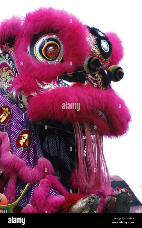 lion dance costume Stock Photo - Alamy