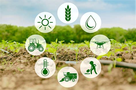 IoT in Agriculture: 7 Practical Uses of the Technology