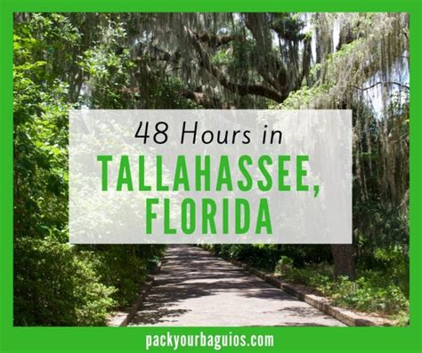 48 Hours in Tallahassee, Florida