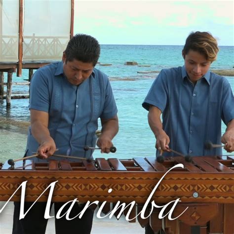 Marimba player – Grupo Lomas – Digital Midia Center