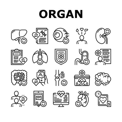 Organ Donation Medical Collection Icons Set Vector 10185821 Vector Art at Vecteezy