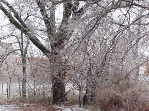 Enid Oklahoma Ice Storm - Pinedale Online News, Wyoming