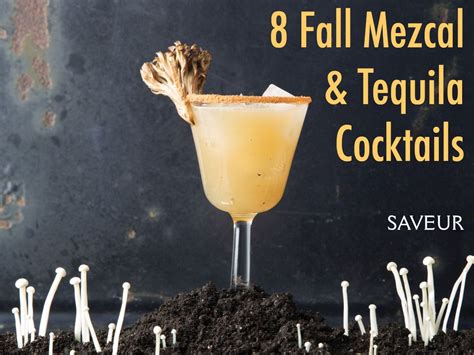 8 Fall Tequila & Mezcal Cocktail Recipes | Mezcal cocktails, Cocktail recipes, Thanksgiving ...