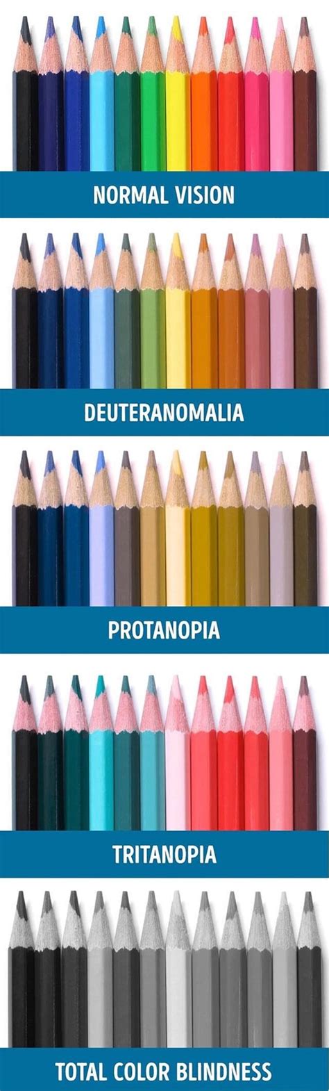 NORMAL VISION DEUTERANOMALIA PROTANOPIA TRITANOPIA TOTAL COLOR BLINDNESS - iFunny Brazil