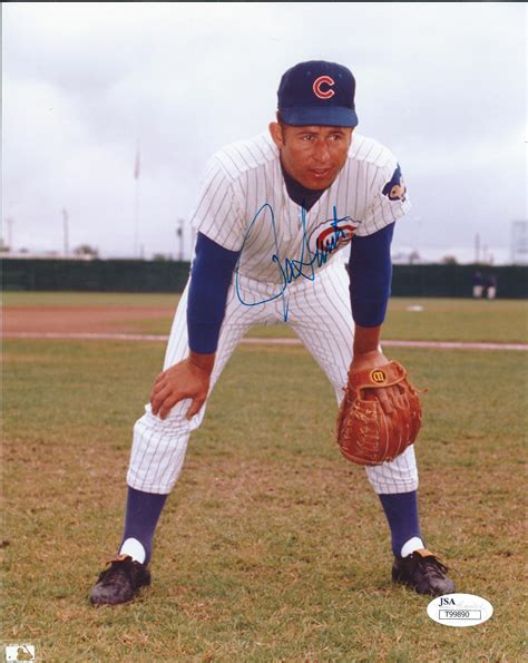 Autographed RON SANTO 8X10 CHICAGO CUBS photo JSA - Main Line Autographs