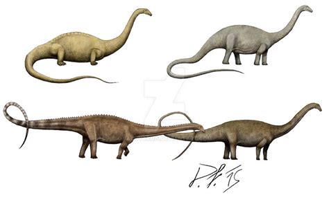 Diplodocus over the centuries by Pachyornis on DeviantArt