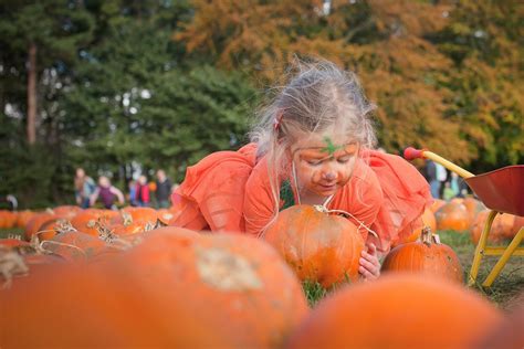 Halloween Adventure at Stockeld Park – Stockeld Park