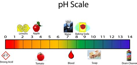 Ph Table Of Acids And Bases