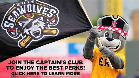 Erie SeaWolves | MiLB.com