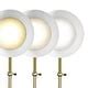 Matte Black and Gold Mod LED Adjustable Desk Lamp - Bed Bath & Beyond - 39580338