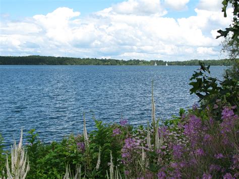 Far Side of Fifty: Waterfront at Walker, Minnesota