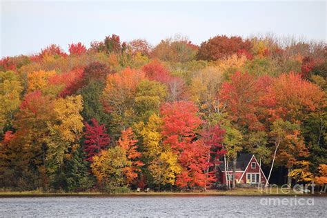 St Albans Maine 2019 October at the lake Photograph by Colleen Snow | Fine Art America