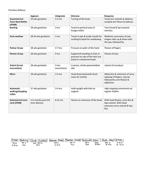 Primitive Reflexes Chart - Primitive Reflexes Appears Integrates Stimulus Response Asymmetrical ...