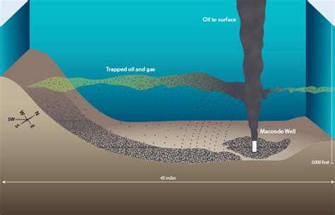 Where Did Deepwater Horizon Oil Go? – Woods Hole Oceanographic Institution