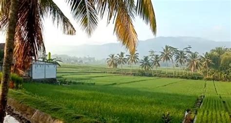 Viral, Desa Terpencil di Jawa Tengah Punya Pemandangan Indah Layaknya ...