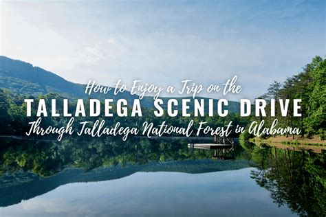 The Talladega Scenic Drive Through Talladega National Forest in Alabama ...