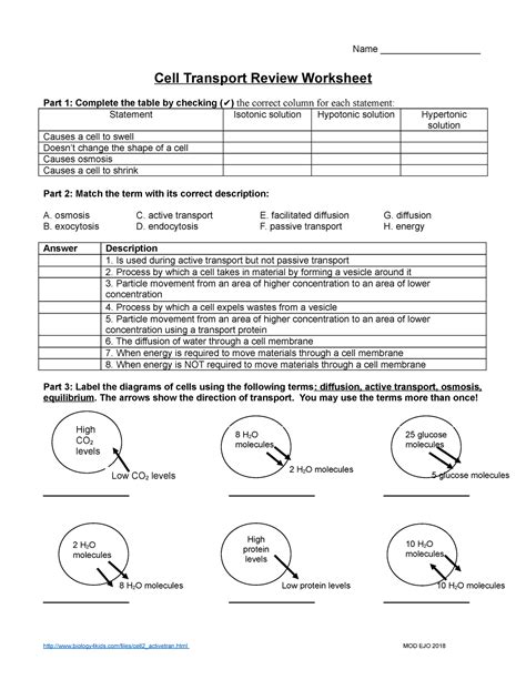 Handout - Cell Transport Review Worksheet - Name ___________________ Cell Transport Review ...