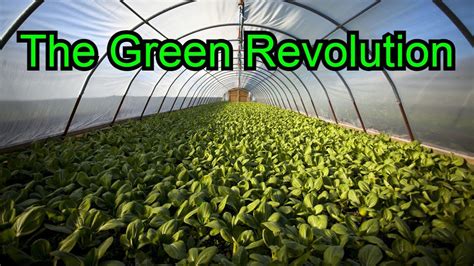 The Green Revolution! AP Human Geography - YouTube