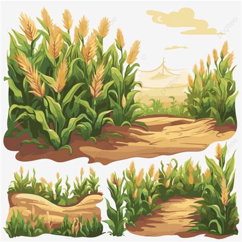 Corn Field Vector, Sticker Clipart An Illustration Of A Field Of Corn ...