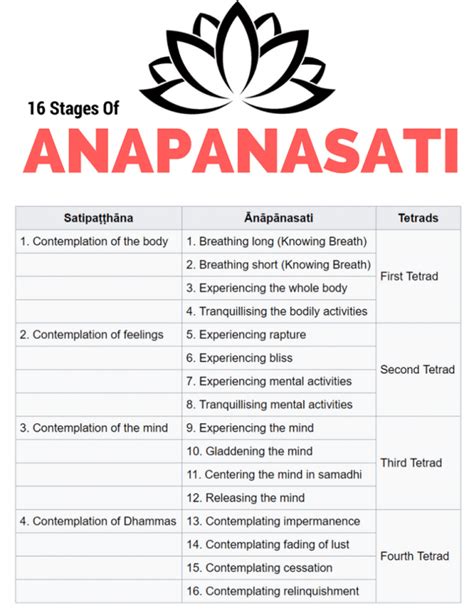 How To Do Anapanasati Meditation Correctly [TUTORIAL] | Meditation benefits, Vipassana ...