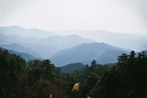 Guide to Visiting Mount Koya (Koyasan) - Boutique Japan