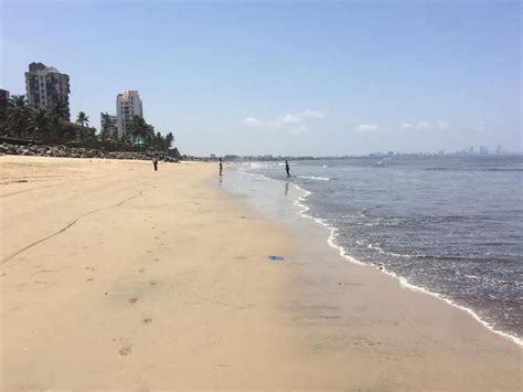 How safe is beach water in Mumbai? | Business News