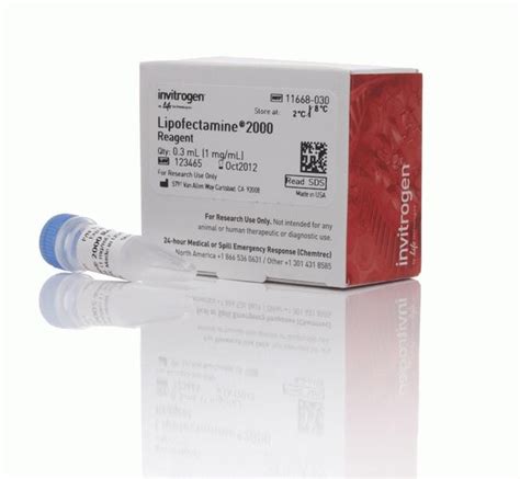 Lipofectamine™ 2000 Transfection Reagent