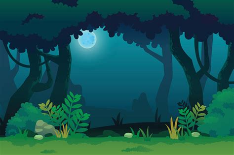 Night In Forest Stock Illustration - Download Image Now - iStock