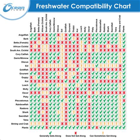 Freshwater Aquarium Fish Compatibility Chart