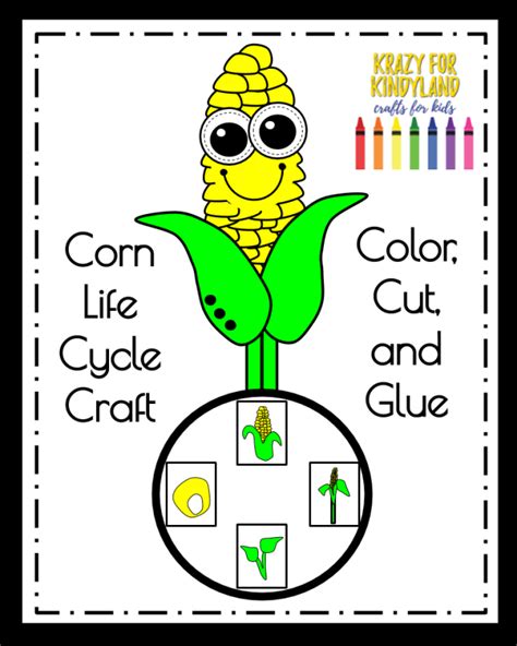 Corn Life Cycle Arts and Crafts for Kindergarten Science Lesson Activity