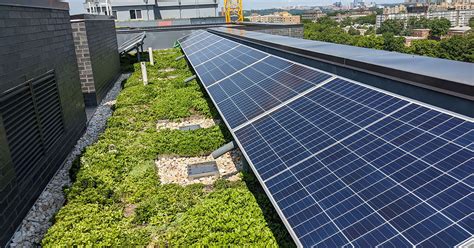 Green Roofs Make Solar Panels Work Better