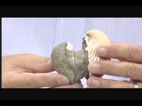 Nature Notes Cast of Body of Bivalve - YouTube