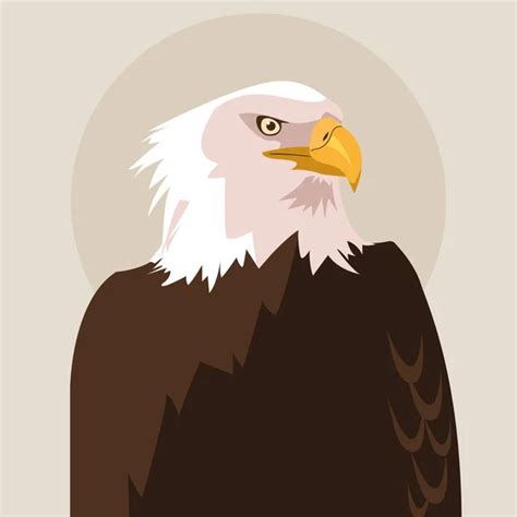 Front view of a bald eagle | Eagle Head Vector - Front View Cartoon — Stock Vector © BluezAce ...