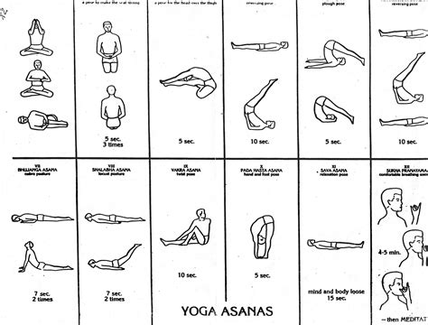 1977 Transcendental Meditation Yoga Asanas : Free Download, Borrow, and Streaming : Internet Archive