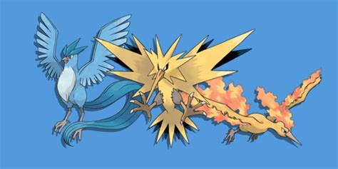 Pokemon Sword and Shield Legendary Bird Trio Are Found in the Wild ...