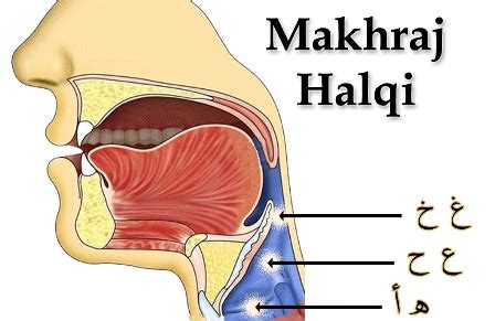 Makhraj Halqi Lengkap - YatlunaHu