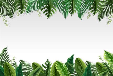 Jungle Leaf Border - 5699x3860 Wallpaper - teahub.io