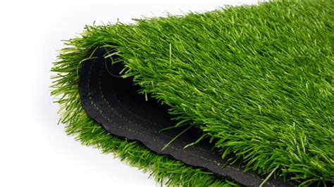 Everything You Need to know About Carpet Grass Maintenance - De Hygienique