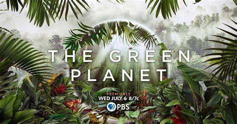 The Green Planet | The Green Planet - Teaser | PBS