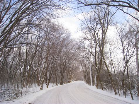 File:University of Wisconsin - Madison Arboretum.jpg - Wikipedia